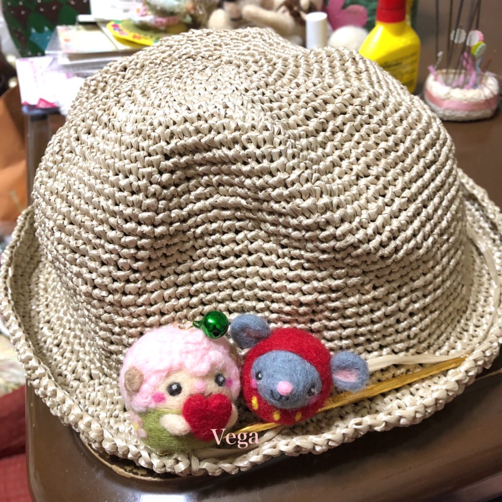 エコアンダリヤの夏帽子