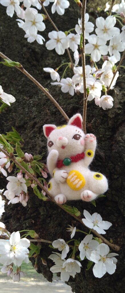 胴吹きの桜と招き猫
