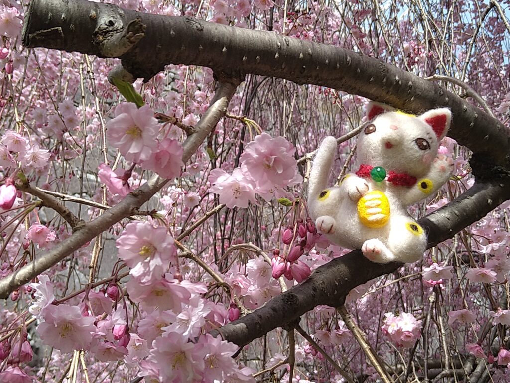 枝垂れ桜と招き猫