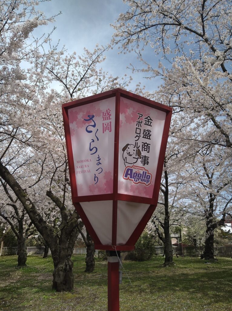さくらまつり　ぼんぼり