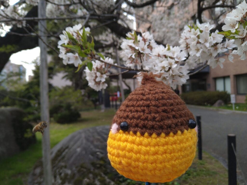 石割桜とくりン